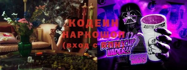 дурь Няндома