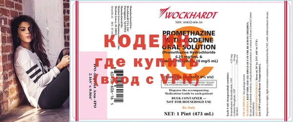 дурь Няндома