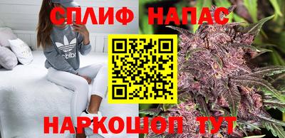 не бодяженный Кингисепп